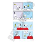 Snoopy képregények 10. rész: Woodstock - Klasszikus képregény gyerekeknek