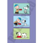 Snoopy képregények 18. rész: Baseballszezon - Klasszikus képregény gyerekeknek - ELŐRENDELÉS