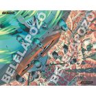 Radiant 3. - manga - ELŐRENDELÉS